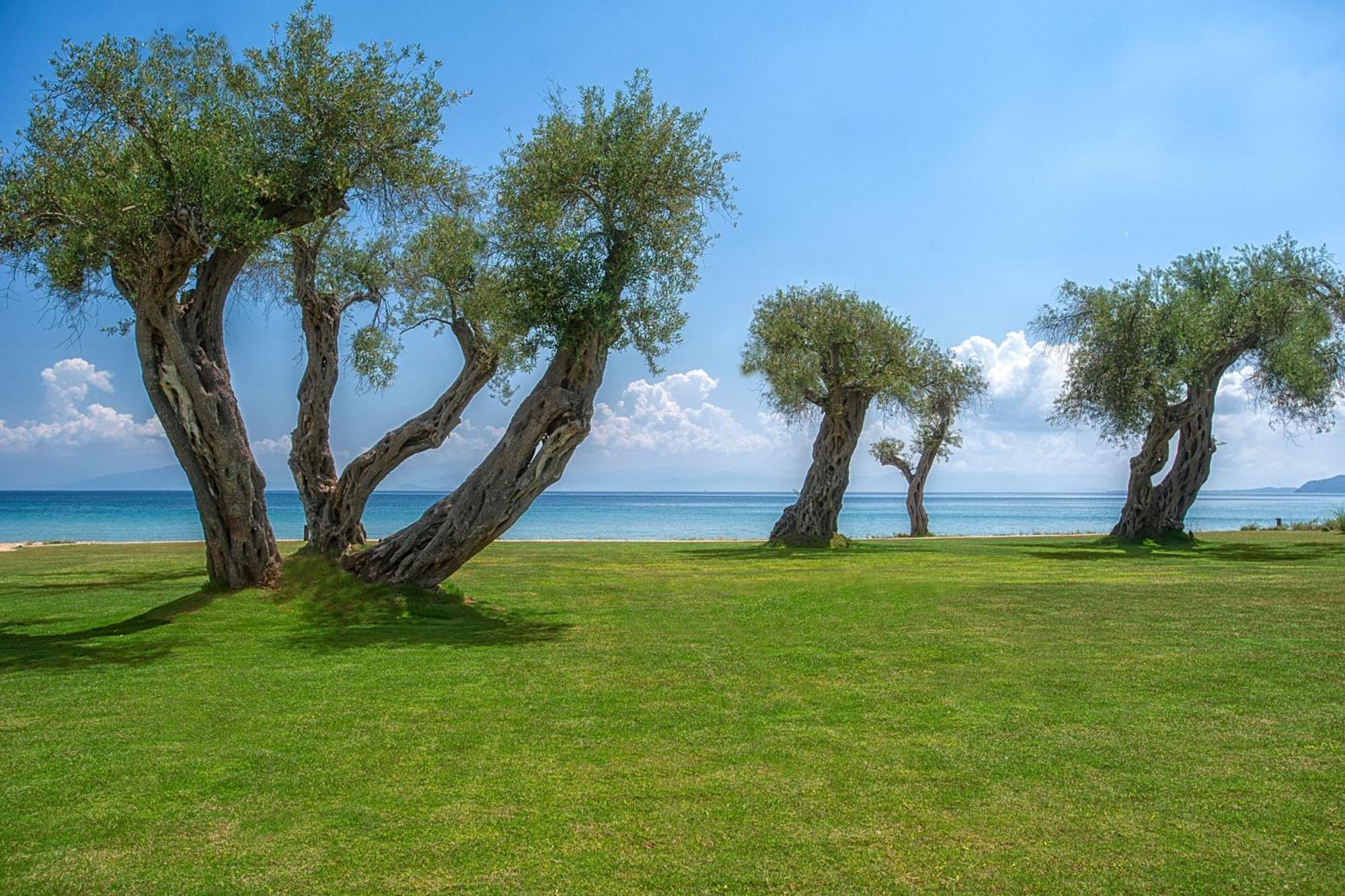 Hotel Domes Miramare, A Luxury Collection Resort, Corfu - Adults Only Moraitika